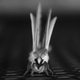Illustration for article titled Shooting Challenge: BlackWhite 9
